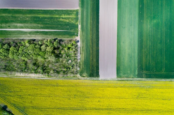 幾何学的形状の異なる文化や色を持つ農業分野の空中像 — ストック写真