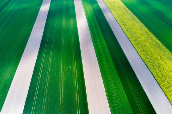 Воздушное Изображение Сельскохозяйственного Поля Различными Культурами Цветами Геометрической Форме — стоковое фото