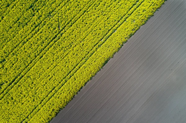 Imagem Aérea Campo Agrícola Com Diferentes Culturas Cores Forma Geométrica — Fotografia de Stock