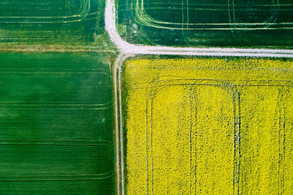 Luchtfoto Van Landbouwgebied Met Verschillende Culturen Kleuren Geometrische Vorm — Stockfoto
