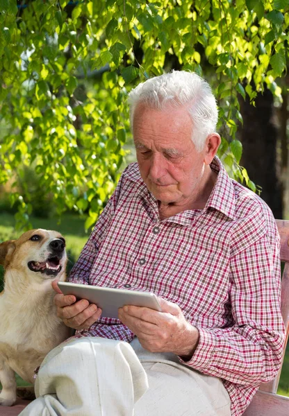 隣の犬と公園のベンチに座っている老人とタブレットを見て — ストック写真