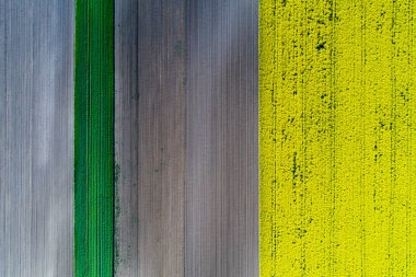 Geometrik şekildeki farklı kültür ve renklere sahip tarım alanının hava görüntüsü