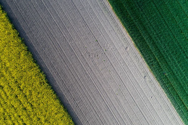 Luftbild Eines Landwirtschaftlichen Feldes Mit Unterschiedlichen Kulturen Und Farben Geometrischer — Stockfoto