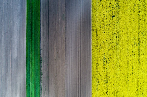 Geometrik Şekildeki Farklı Kültür Renklere Sahip Tarım Alanının Hava Görüntüsü — Stok fotoğraf