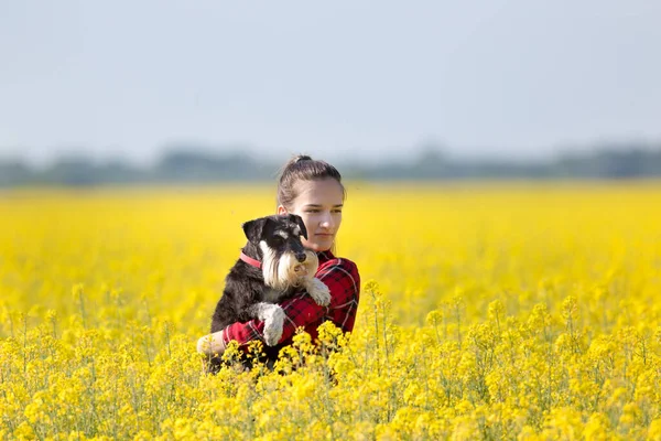 Csinos Tizenéves Lány Kezében Aranyos Kutya Miniatűr Schnauzer Repce Sárga — Stock Fotó