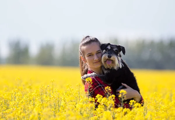 Jolie Adolescente Tenant Schnauzer Miniature Chien Mignon Dans Colza Avec — Photo