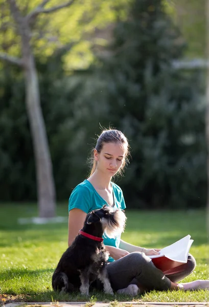 Дівчина Сидить Траві Вчиться Поки Мила Собака Робить Свою Компанію — стокове фото