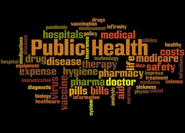 Közegészségügyi, szó felhő fogalmát 4 — Stock Fotó