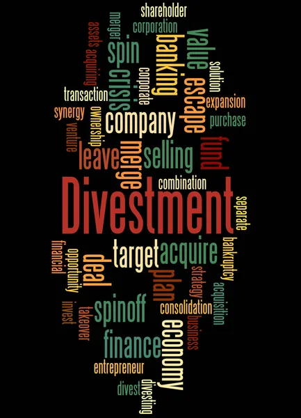 Divestice, slovo cloud koncepce 2 — Stock fotografie