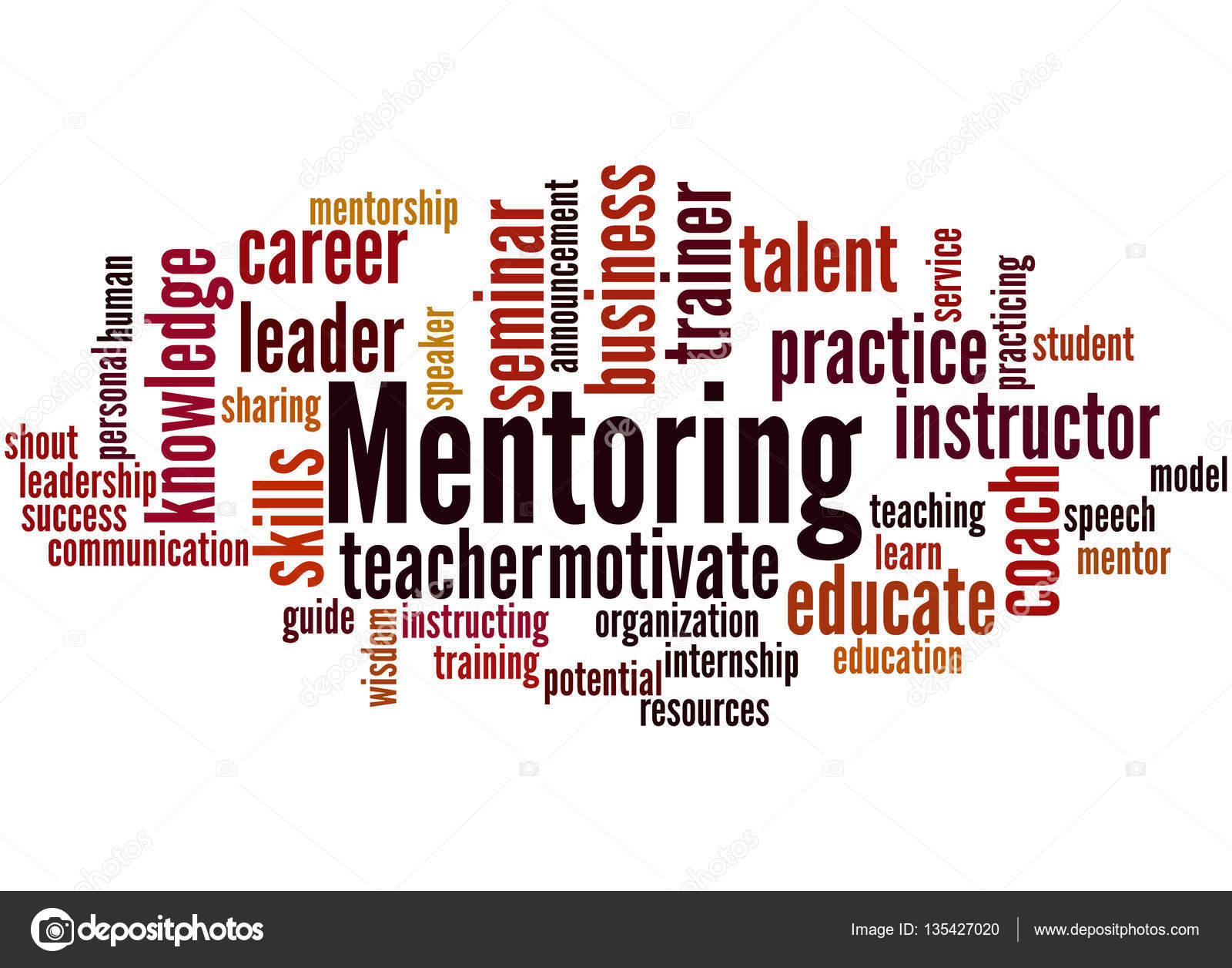 mentor sizer similar mentor sizer similar