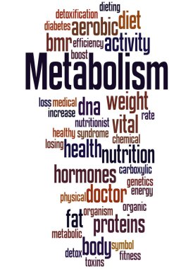 Metabolism, word cloud concept 6 clipart