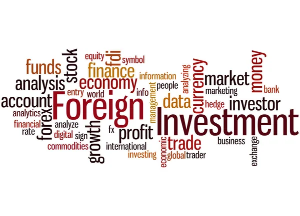 Foreign Investment, word cloud concept