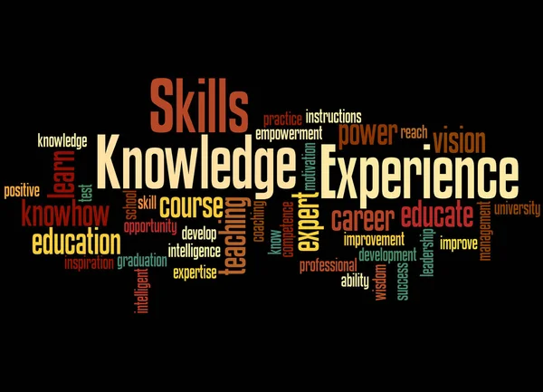 Knowledge Skills Experience, word cloud concept 5