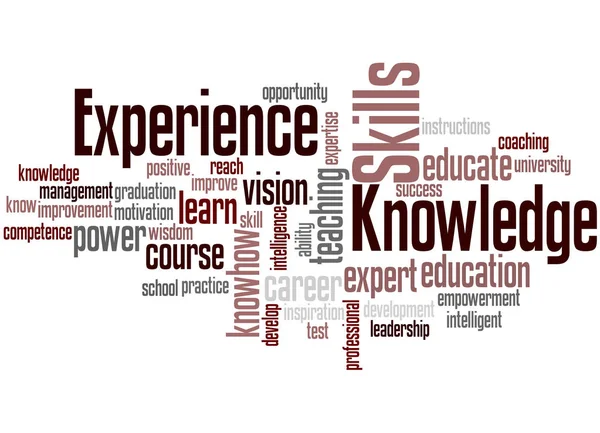 Knowledge Skills Experience, word cloud concept 8