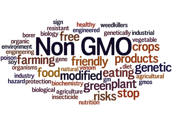 Icke Gmo, word cloud konceptet 6 — Stockfoto