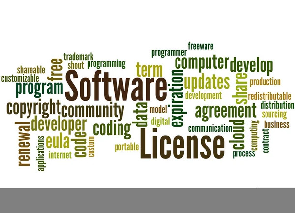 Licenza di software, concetto di nuvola di parola 3 — Foto Stock
