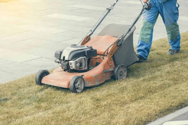 Mowing the lawn in the park — Stock Photo, Image
