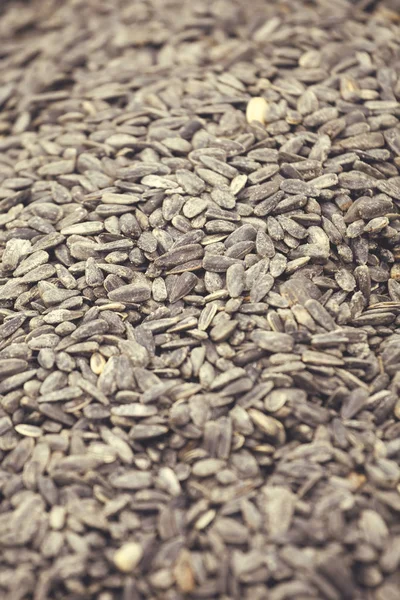 Pile of roasted and salted sunflower seed 5 — Stock Photo, Image