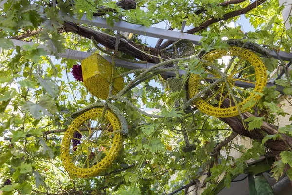 Retro bike hängande med vinstockar — Stockfoto