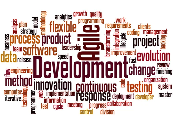 Agile Development, word cloud concept 5