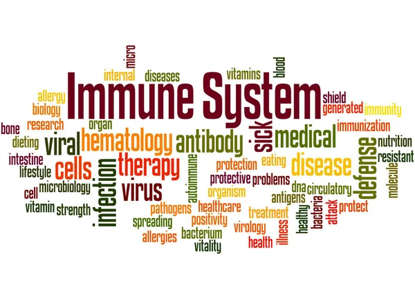 Immune system, word cloud concept 4 — Stock Photo, Image