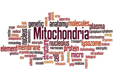 Mitochondria, word cloud concept 2 clipart