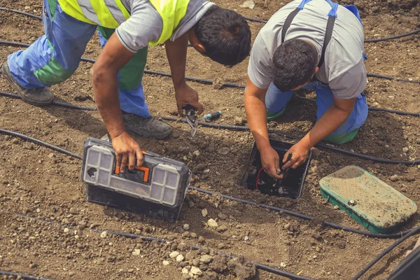 Operai da giardino che installano scatola di controllo di irrigazione 2 — Foto Stock