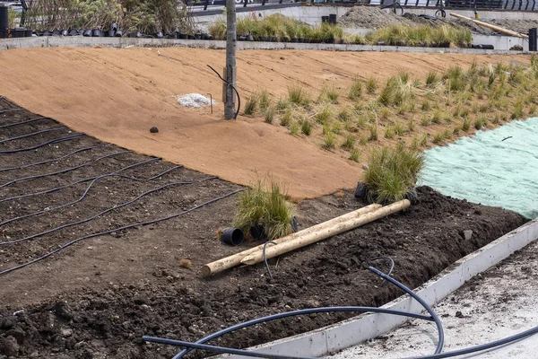 Het installeren van drip irrigatiesysteem met nieuwe tuinbouw solutio — Stockfoto