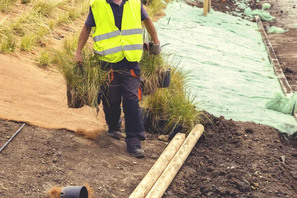 Trabajador preparando nueva hierba para la siembra 2 — Foto de Stock