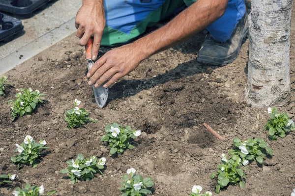 Jardinero manos con herramientas de jardín cavar un hueco de siembra — Foto de Stock