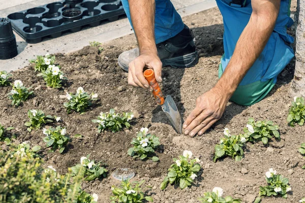 Gardener hands with garden tools planting flowers — Stock Photo, Image