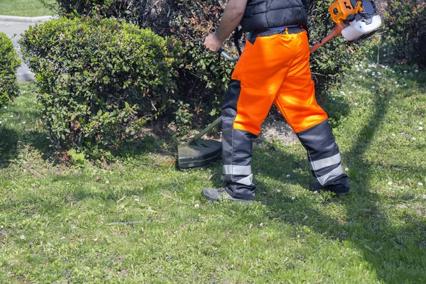 Trabajador siega hierba con recortadora de malezas de gasolina —  Fotos de Stock