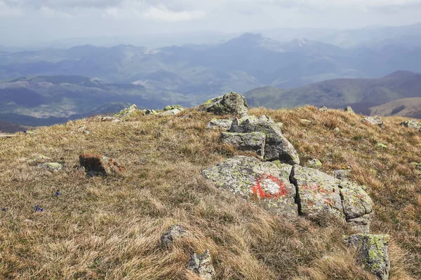 Painted symbol on a rock marking a hiking trail