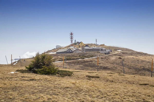 Pico pancico en primavera —  Fotos de Stock