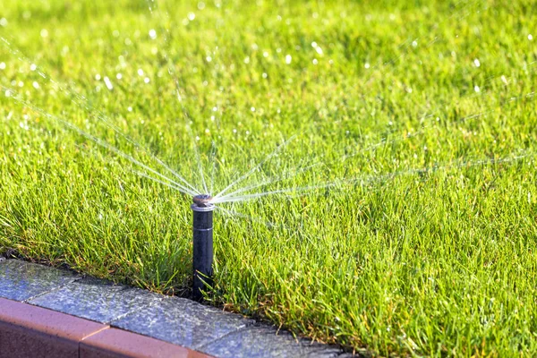 地下灌溉洒水系统，自动浇水 — 图库照片