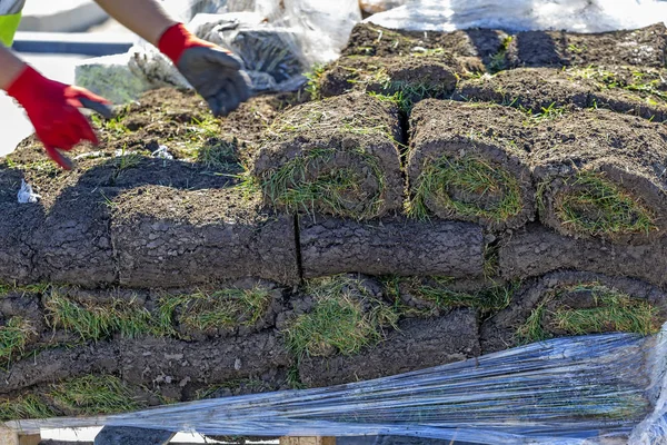 Pile of sod rolls for new lawn — Stock Photo, Image