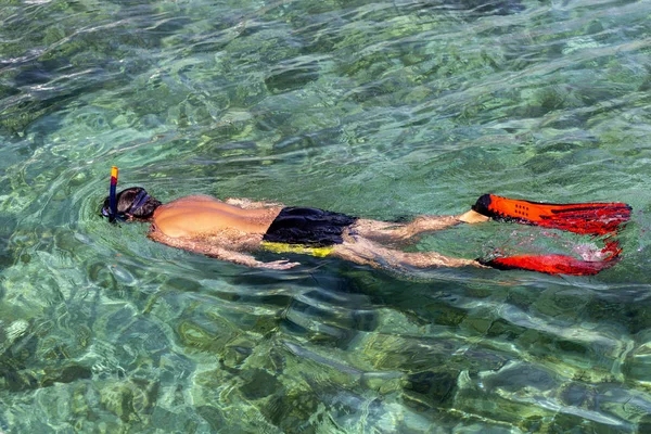 Man snorkeling in the sea with transparent water — Stock Photo, Image