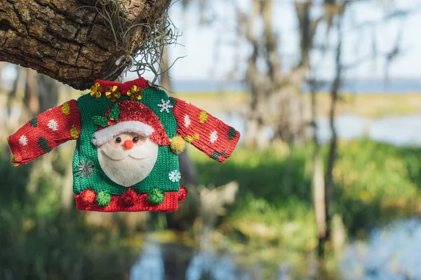 Christmas theme. Santa ugly sweater in the marshes of Lake Louisa near Orlando, Florida.