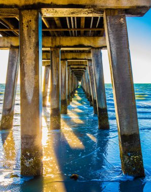 Naples, Florida. İskele altında.