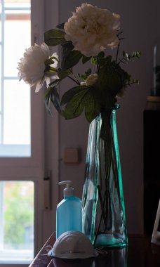 ÇİÇEKLERİN, SÜRÜCÜ GEL VE MASK