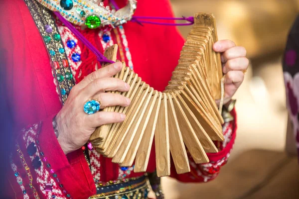 Beyaz bir adamın elleri, geleneksel giysiler içinde, ahşap bir çıngıraklı dans aleti tutuyor.. Telifsiz Stok Fotoğraflar