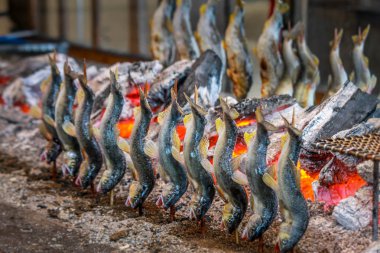 Tochigi Japonya 'da kömürle kızartılan tuzlu balık Ayu..