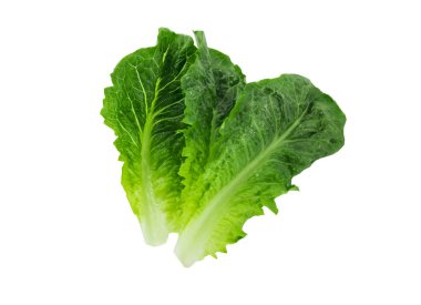 Taze yeşil marul yaprakları, beyaz arka planda izole edilmiş salata yaprakları. kırpma yolu ile.