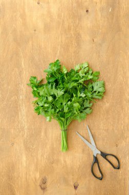 Demet maydanoz ve makas