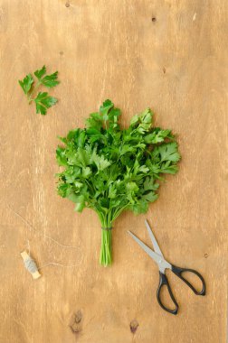 Demet maydanoz ve makas