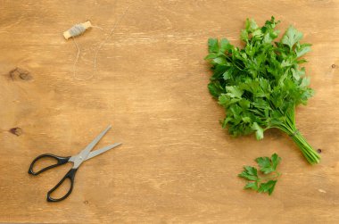 Demet maydanoz ve makas