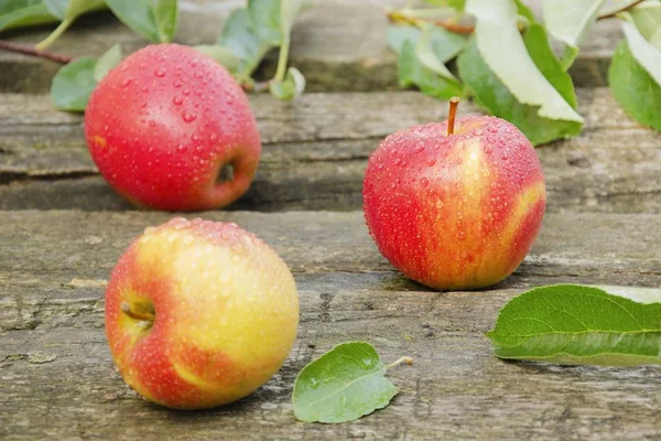 Su damlaları ile üç elma