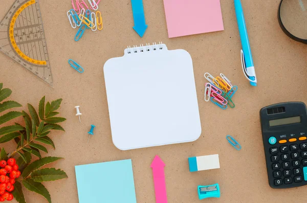 Kağıt, kalem, hesap makinesi, Büyüteç'i ve cetvel ile Danışma