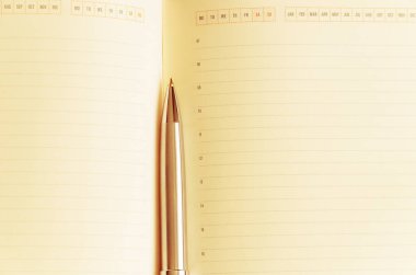 Açık Not Defteri ile kalem