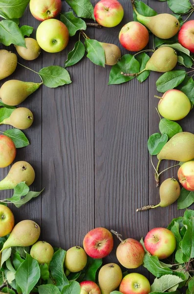 Elma ve armut koyu ahşap arka plan üzerinde çerçeve